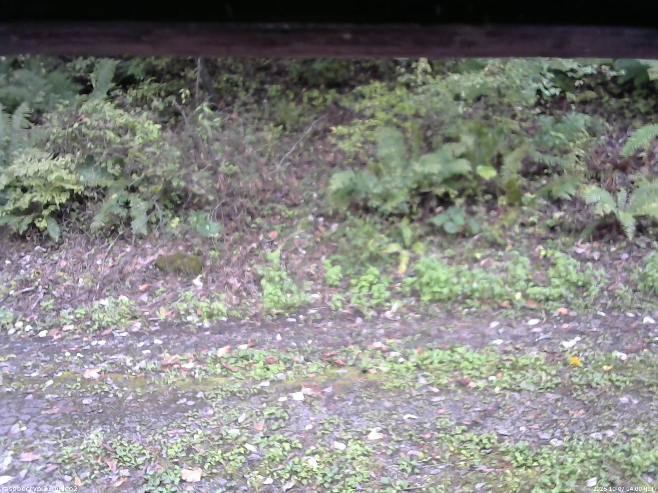 長野県菅平高原 ゆたか山荘 南側 2025/10/07 14:00
