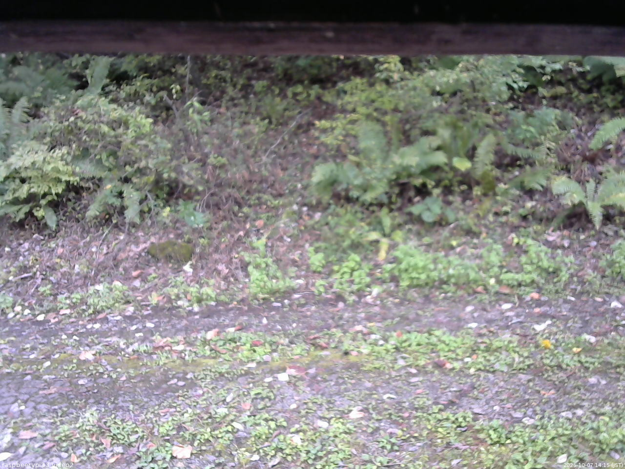 長野県菅平高原 ゆたか山荘 南側 2025/10/07 14:15