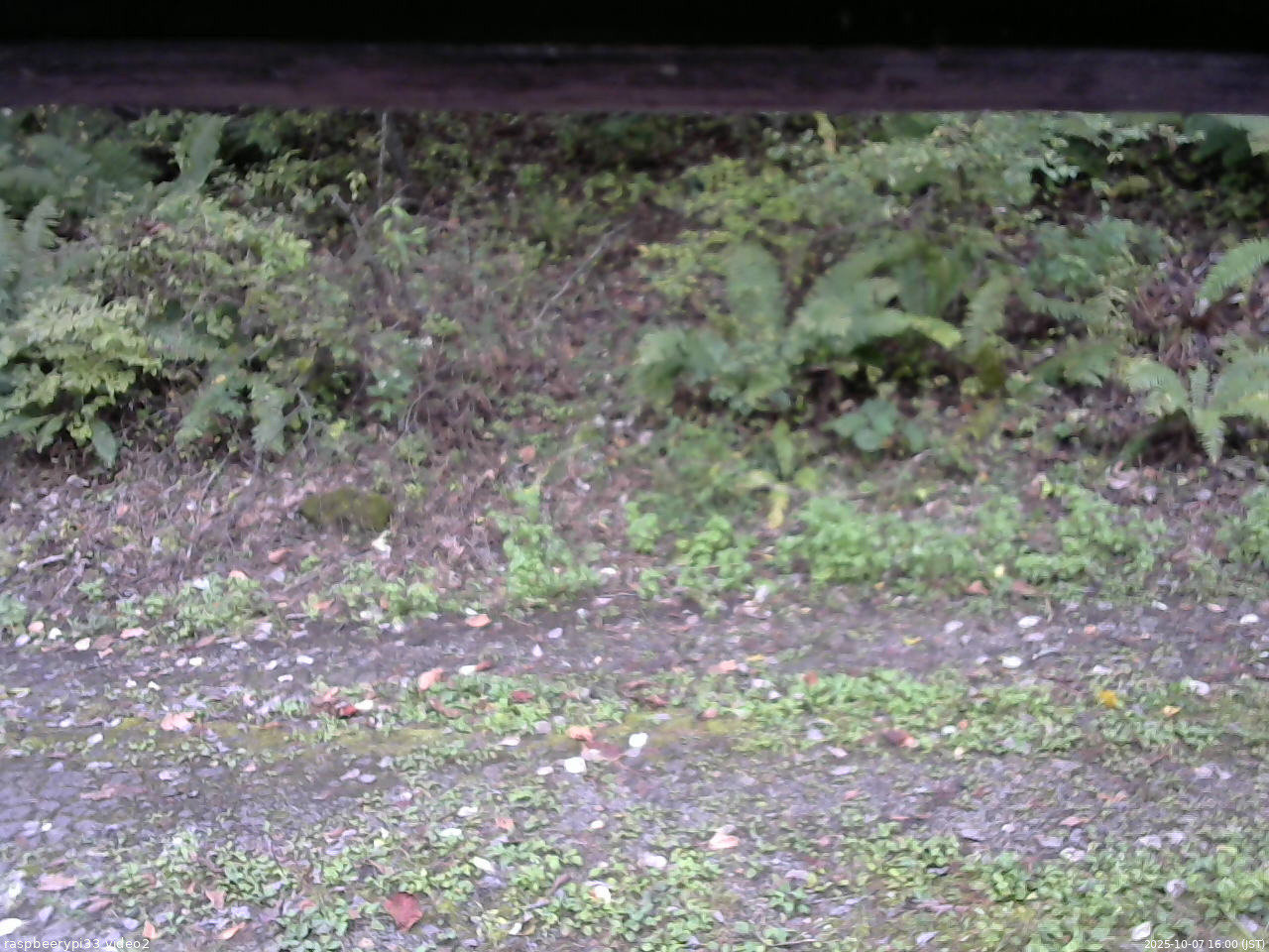 長野県菅平高原 ゆたか山荘 南側 2025/10/07 16:00