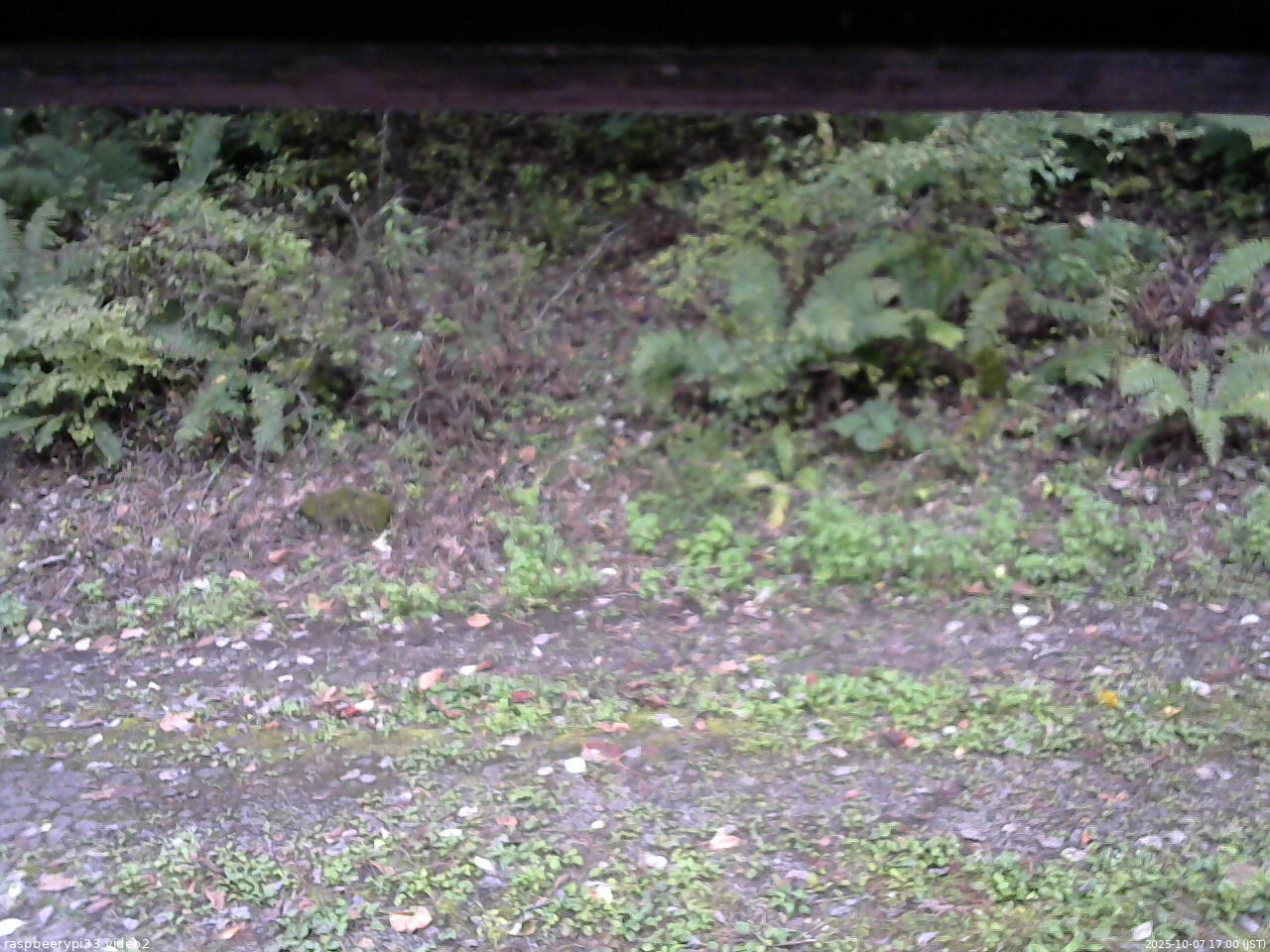 長野県菅平高原 ゆたか山荘 南側 2025/10/07 17:00