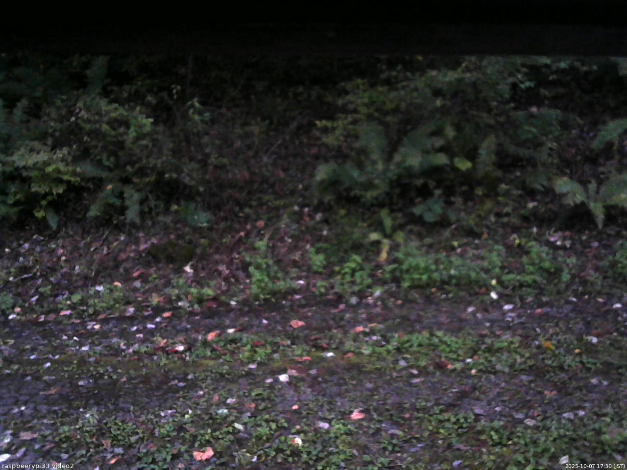 長野県菅平高原 ゆたか山荘 南側 2025/10/07 17:30