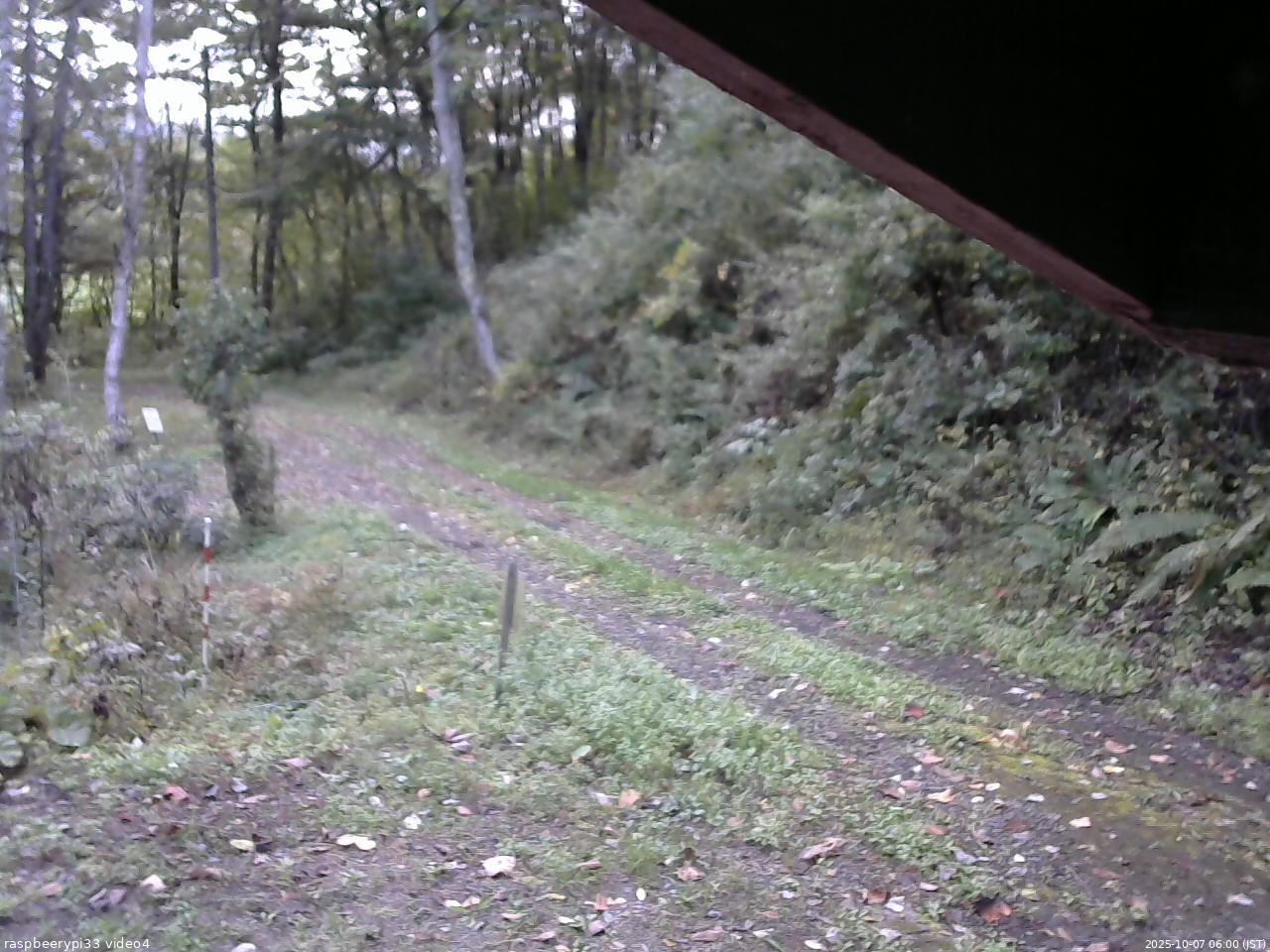 長野県菅平高原 ゆたか山荘 東側(坂下) 2025/10/07 06:00
