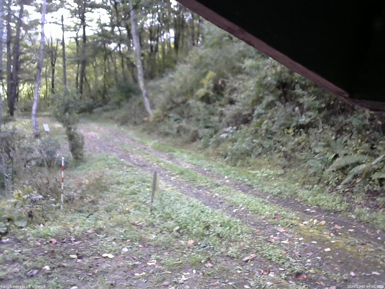 長野県菅平高原 ゆたか山荘 東側(坂下) 2025/10/07 07:00