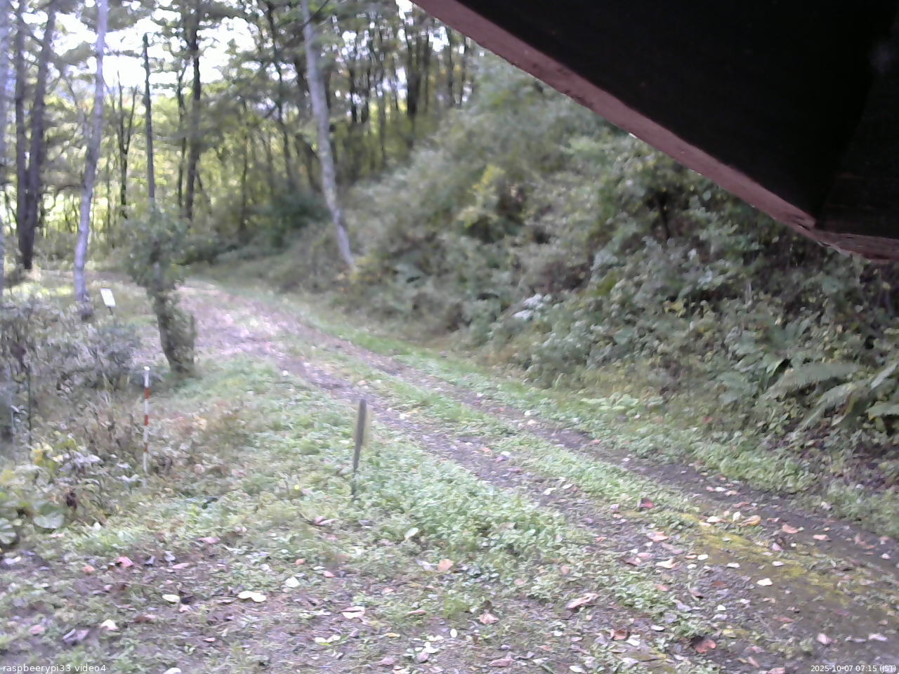 長野県菅平高原 ゆたか山荘 東側(坂下) 2025/10/07 07:15