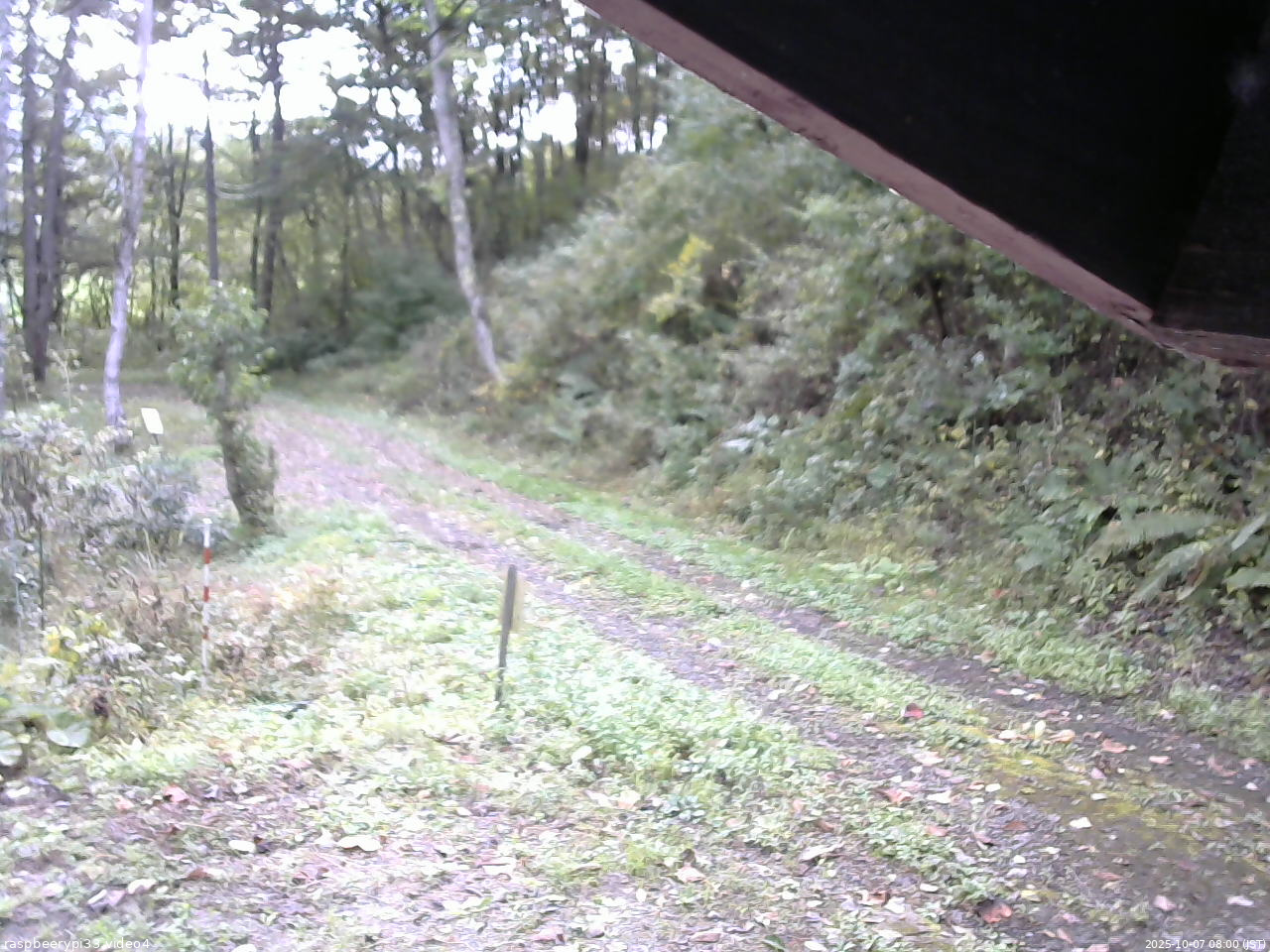 長野県菅平高原 ゆたか山荘 東側(坂下) 2025/10/07 08:00