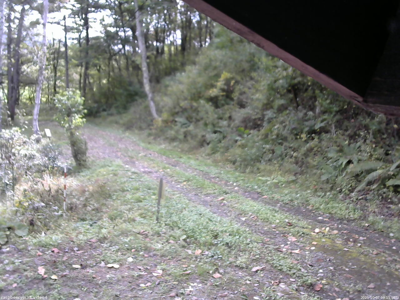 長野県菅平高原 ゆたか山荘 東側(坂下) 2025/10/07 09:15