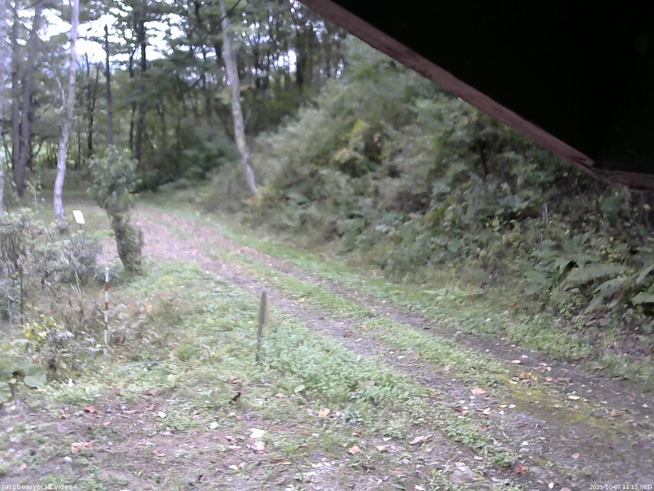 長野県菅平高原 ゆたか山荘 東側(坂下) 2025/10/07 11:15