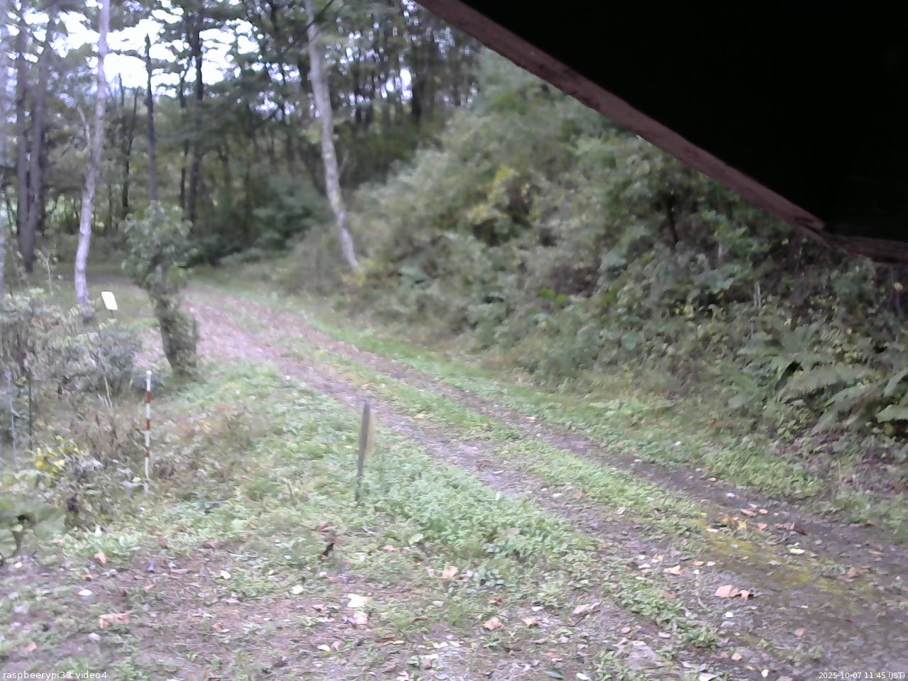 長野県菅平高原 ゆたか山荘 東側(坂下) 2025/10/07 11:45