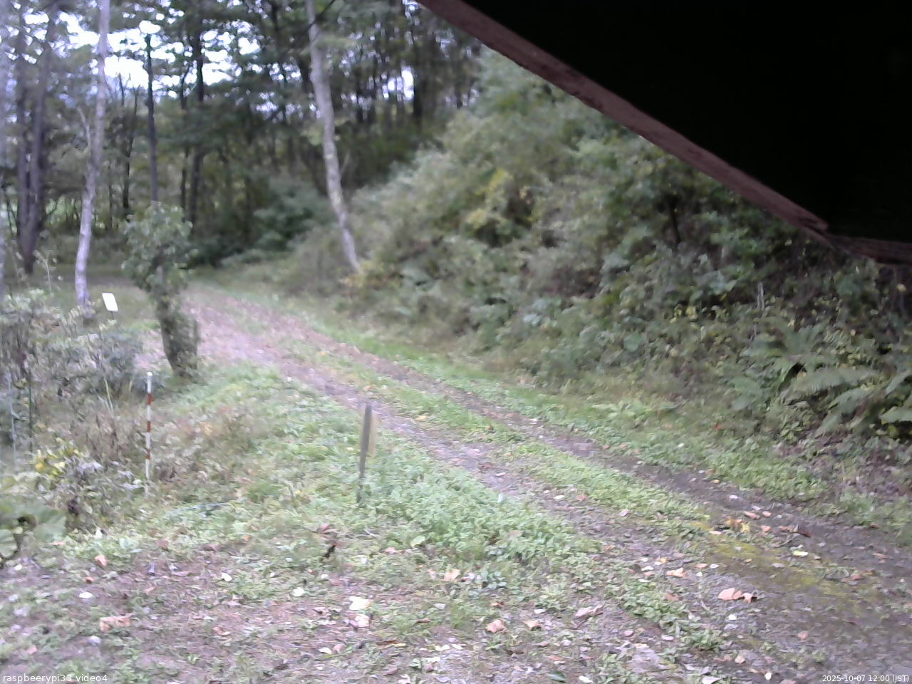 長野県菅平高原 ゆたか山荘 東側(坂下) 2025/10/07 12:00