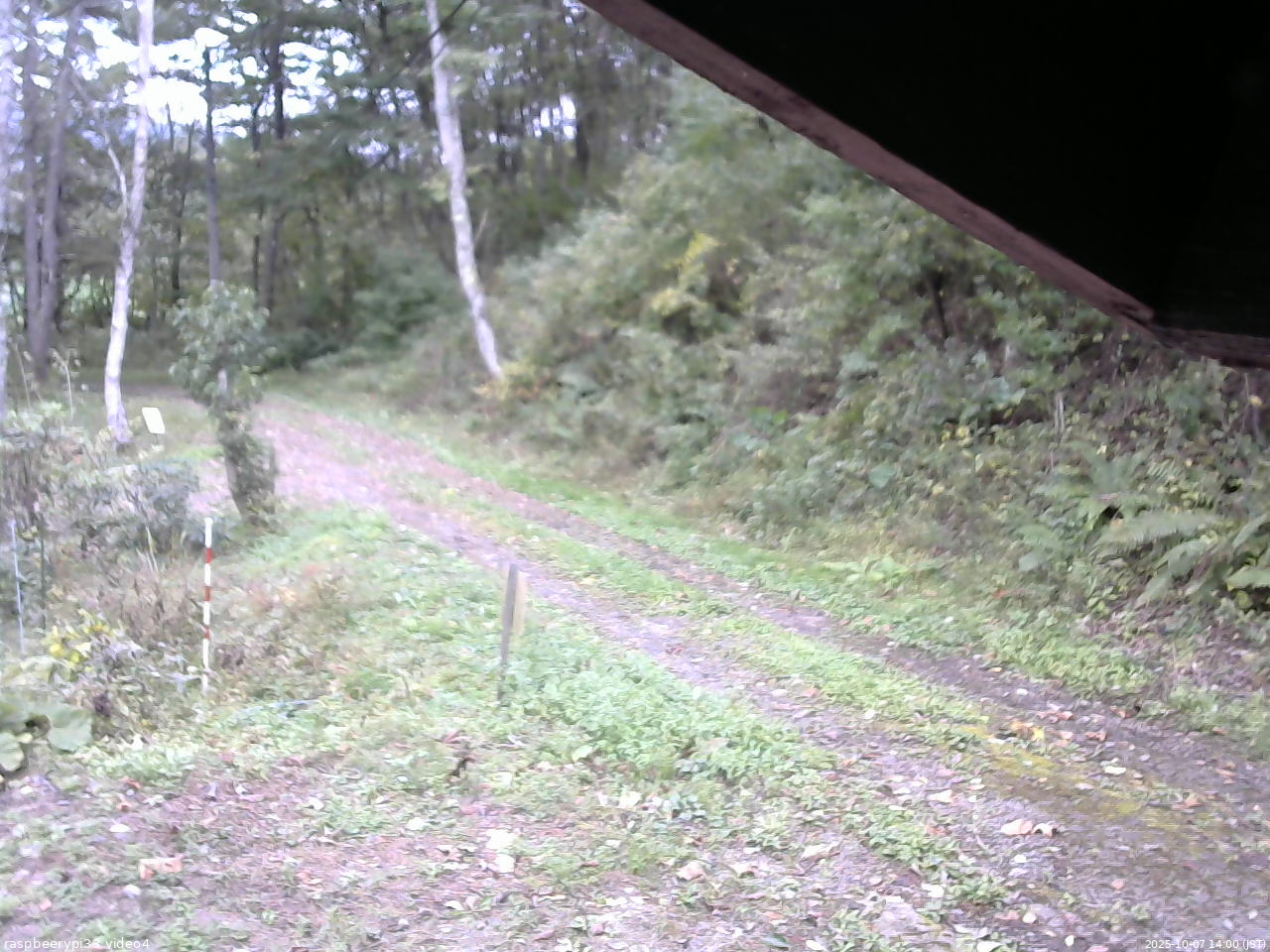 長野県菅平高原 ゆたか山荘 東側(坂下) 2025/10/07 14:00