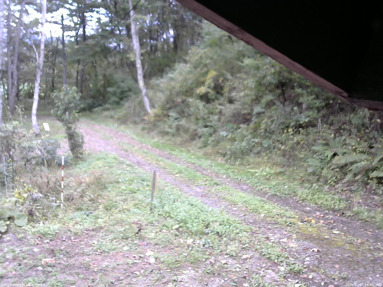 長野県菅平高原 ゆたか山荘 東側(坂下) 2025/10/07 14:45