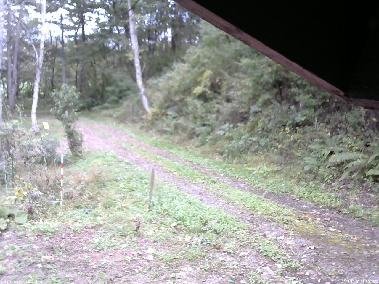 長野県菅平高原 ゆたか山荘 東側(坂下) 2025/10/07 15:30