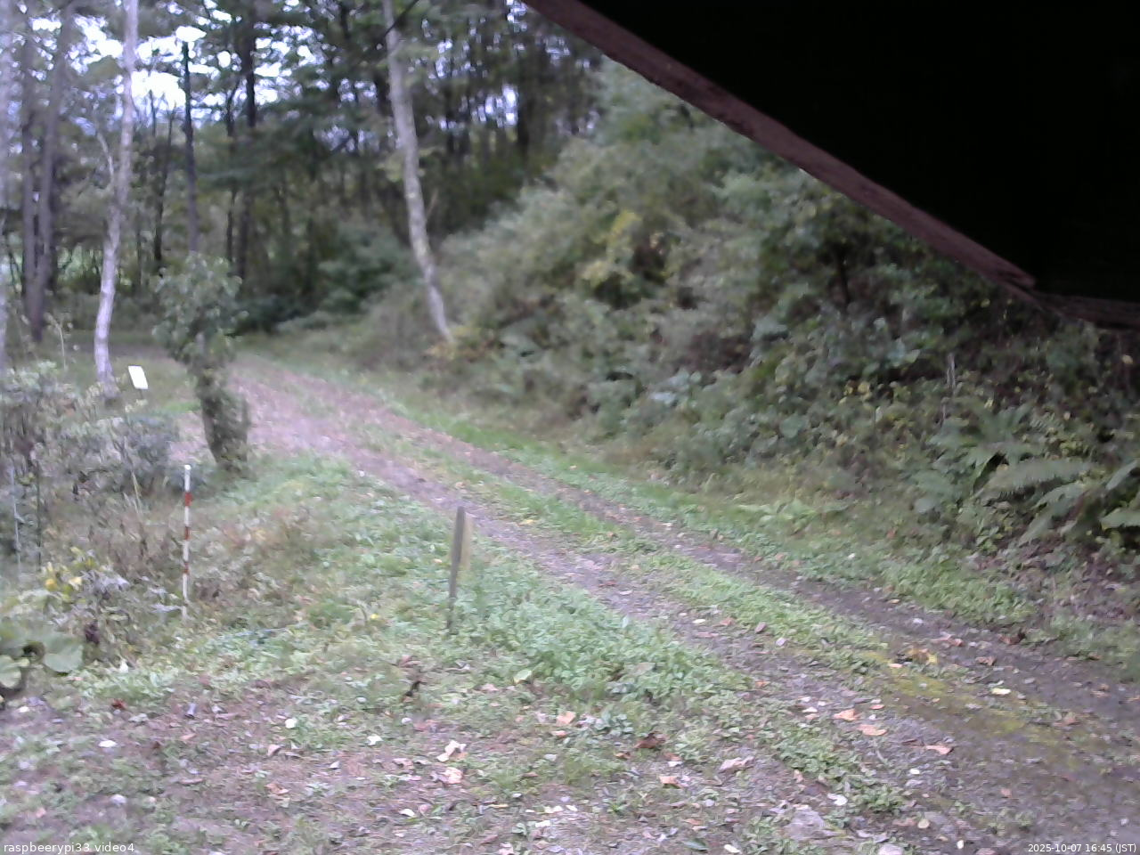 長野県菅平高原 ゆたか山荘 東側(坂下) 2025/10/07 16:45