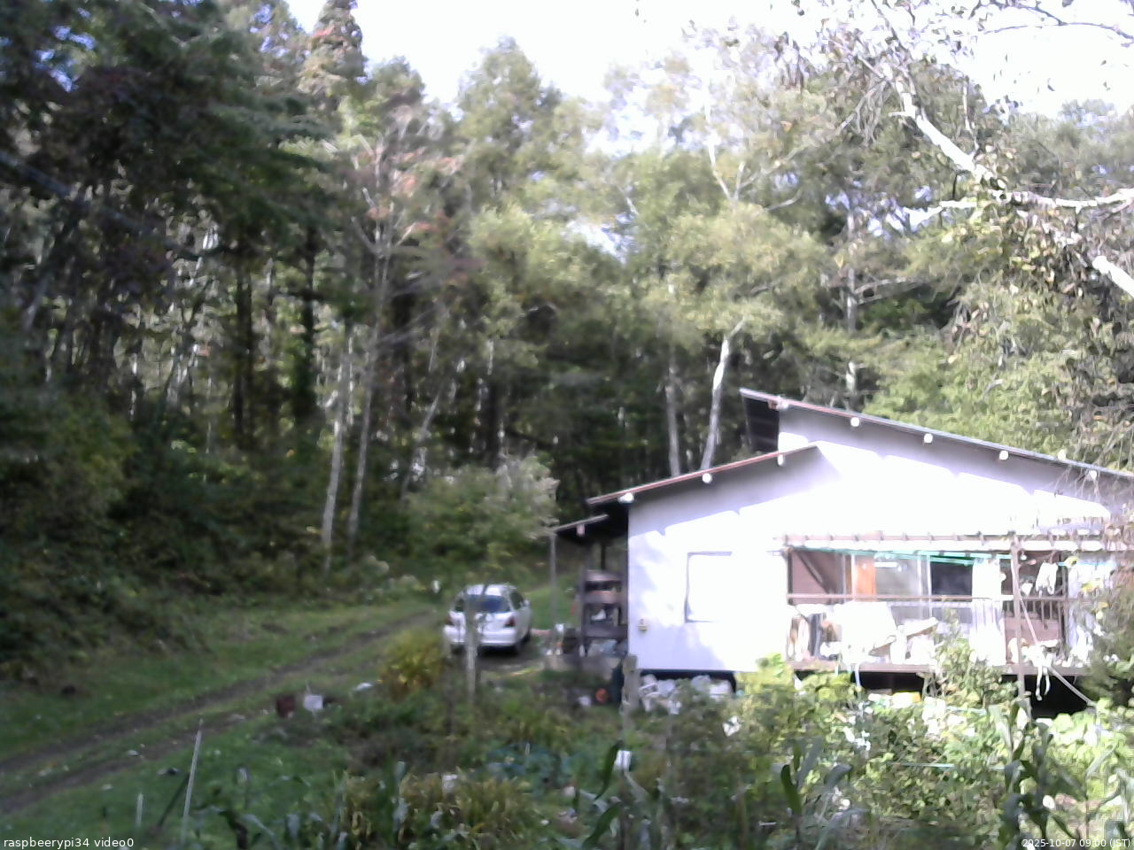 長野県菅平高原 ゆたか山荘 西側(坂上) 2025/10/07 09:00