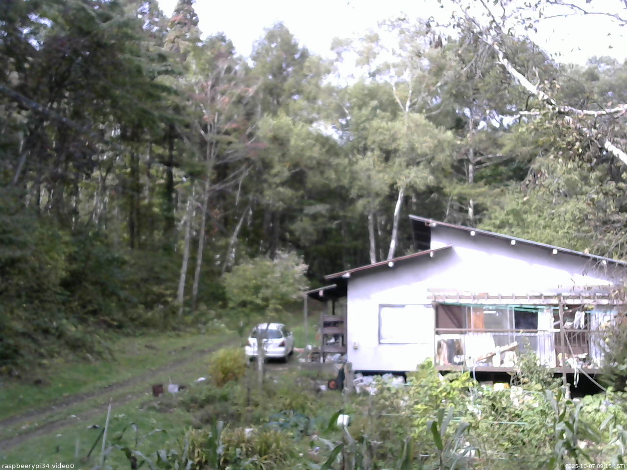 長野県菅平高原 ゆたか山荘 西側(坂上) 2025/10/07 09:15