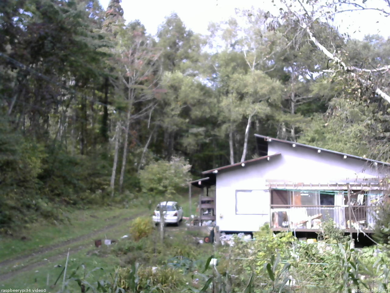 長野県菅平高原 ゆたか山荘 西側(坂上) 2025/10/07 09:30