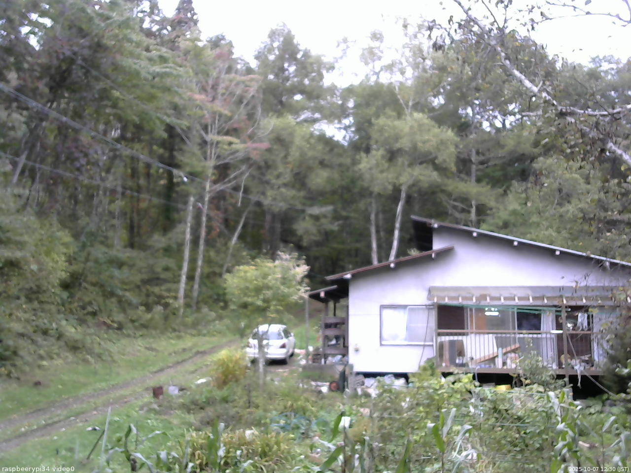 長野県菅平高原 ゆたか山荘 西側(坂上) 2025/10/07 12:30