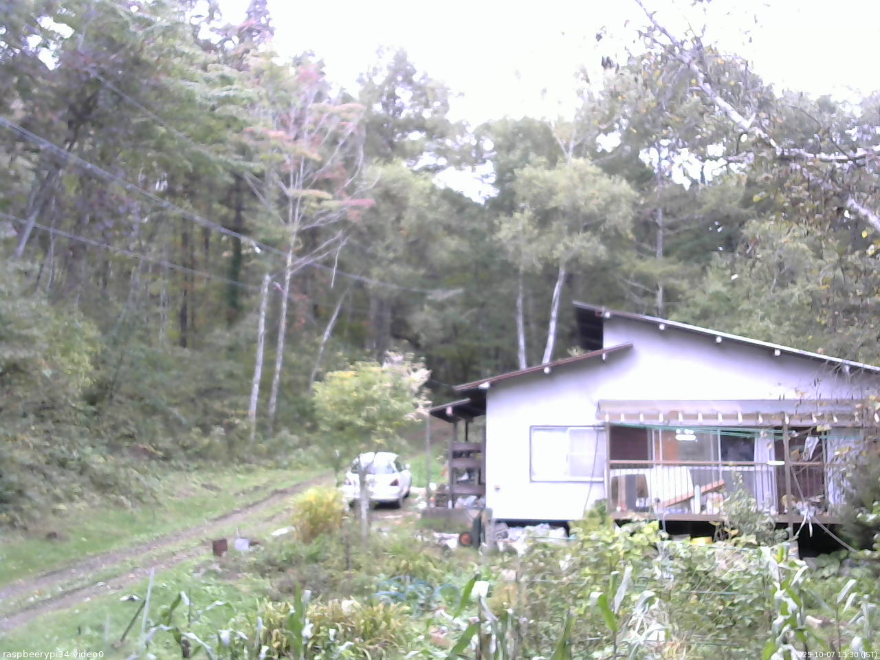 長野県菅平高原 ゆたか山荘 西側(坂上) 2025/10/07 13:30
