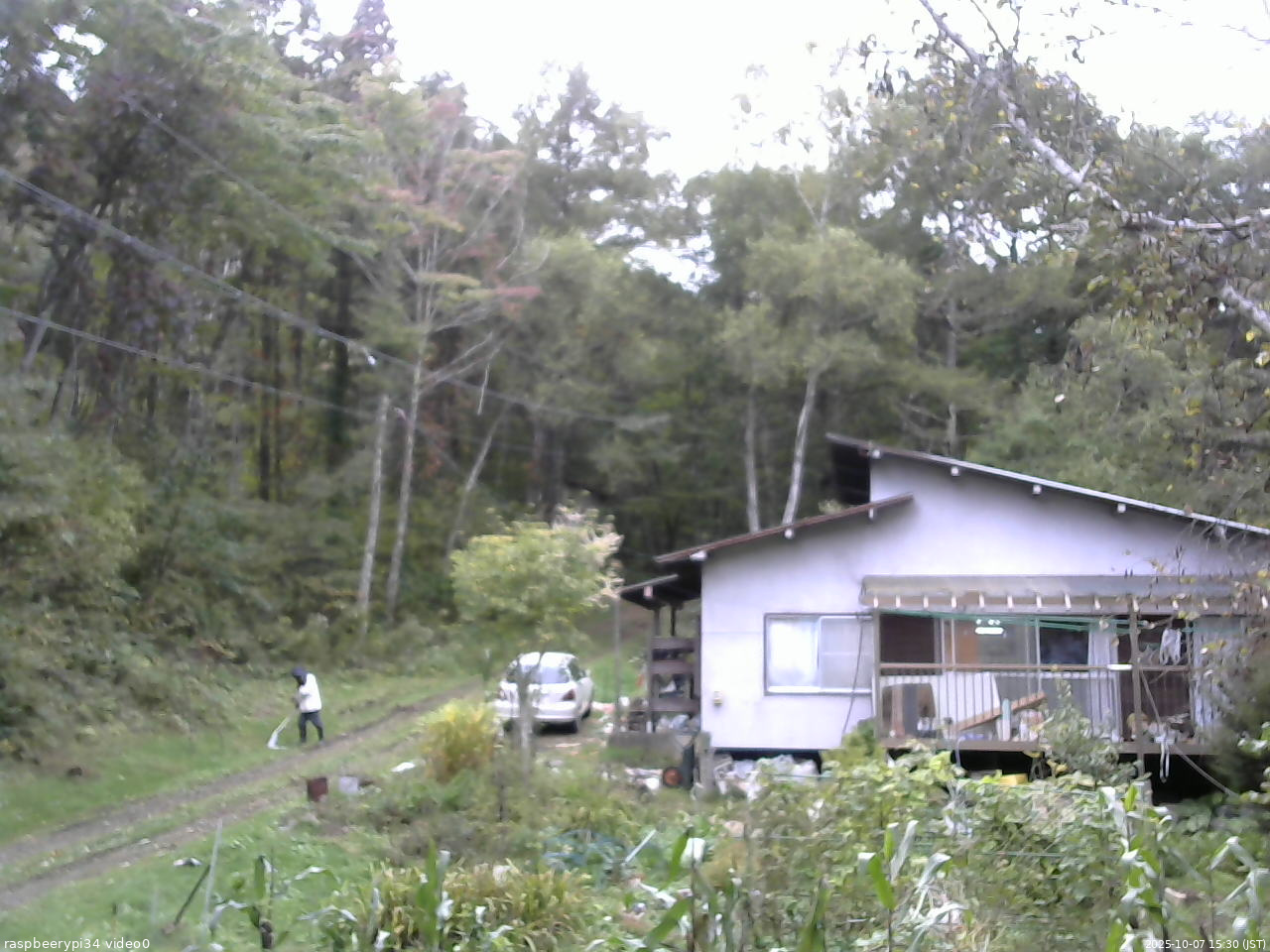 長野県菅平高原 ゆたか山荘 西側(坂上) 2025/10/07 15:30