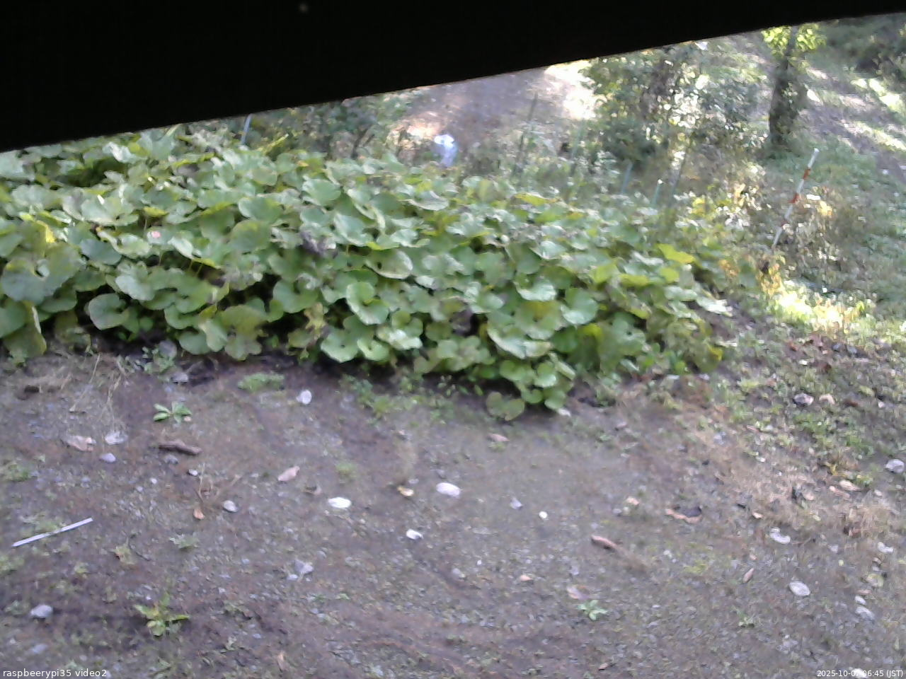 長野県菅平高原 ゆたか山荘 駐車場 2025/10/07 06:45