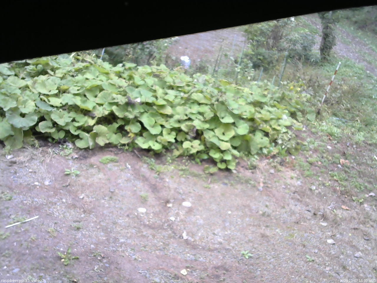長野県菅平高原 ゆたか山荘 駐車場 2025/10/07 15:00