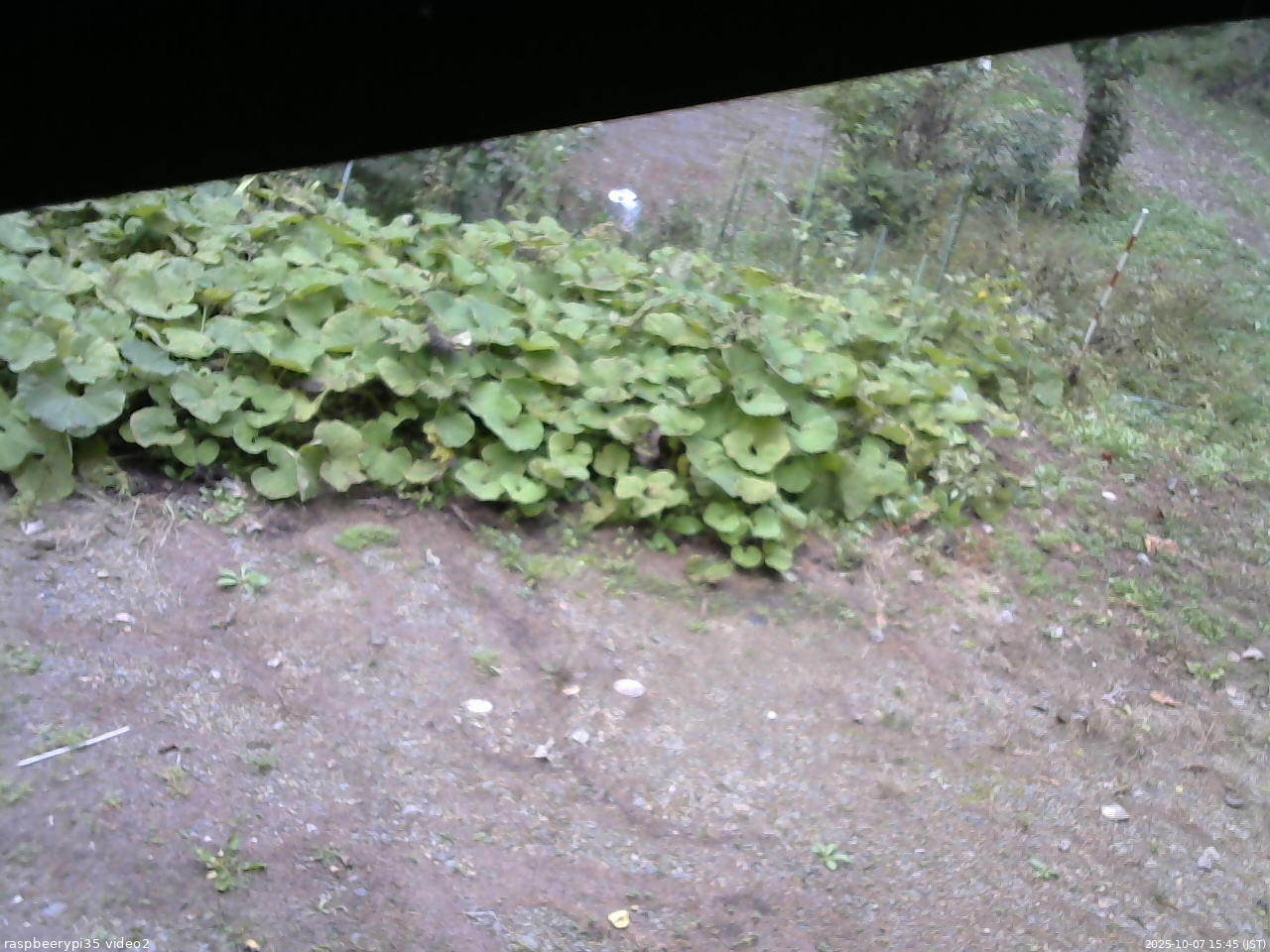 長野県菅平高原 ゆたか山荘 駐車場 2025/10/07 15:45