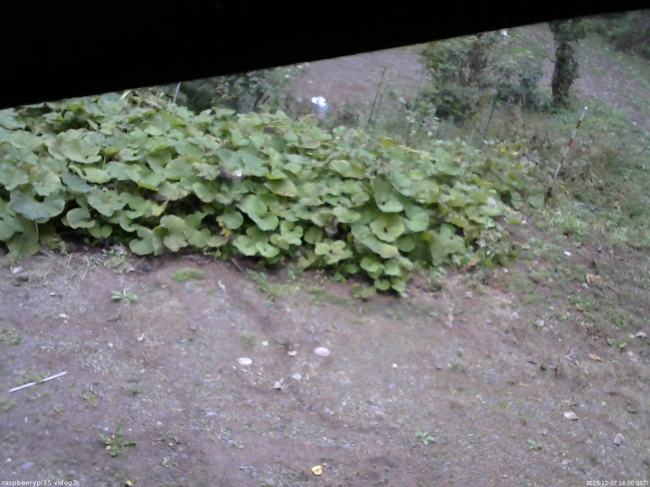 長野県菅平高原 ゆたか山荘 駐車場 2025/10/07 16:00
