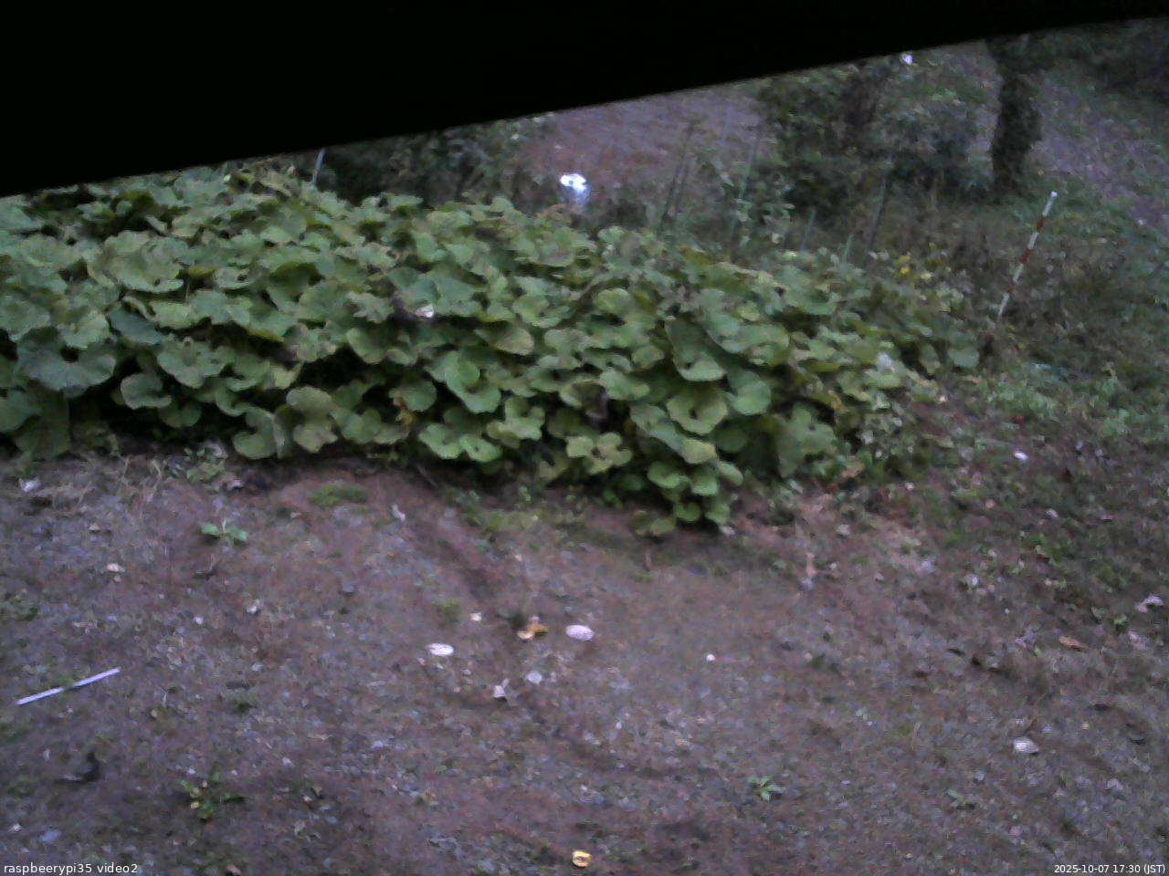 長野県菅平高原 ゆたか山荘 駐車場 2025/10/07 17:30