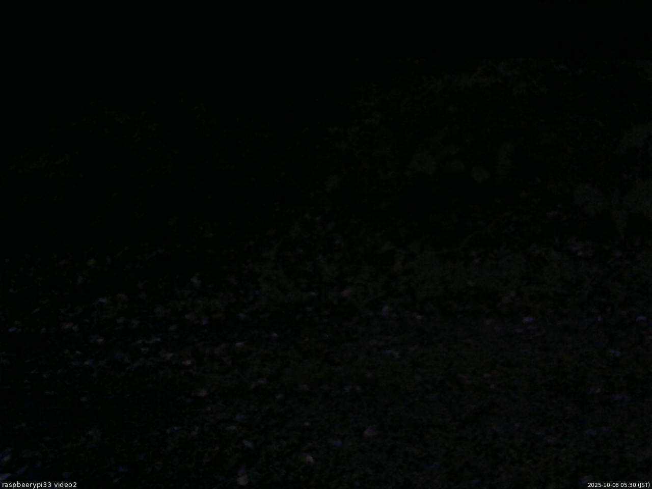 長野県菅平高原 ゆたか山荘 南側 2025/10/08 05:30