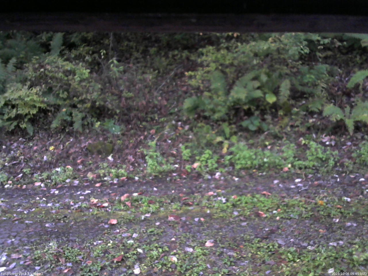 長野県菅平高原 ゆたか山荘 南側 2025/10/08 05:45