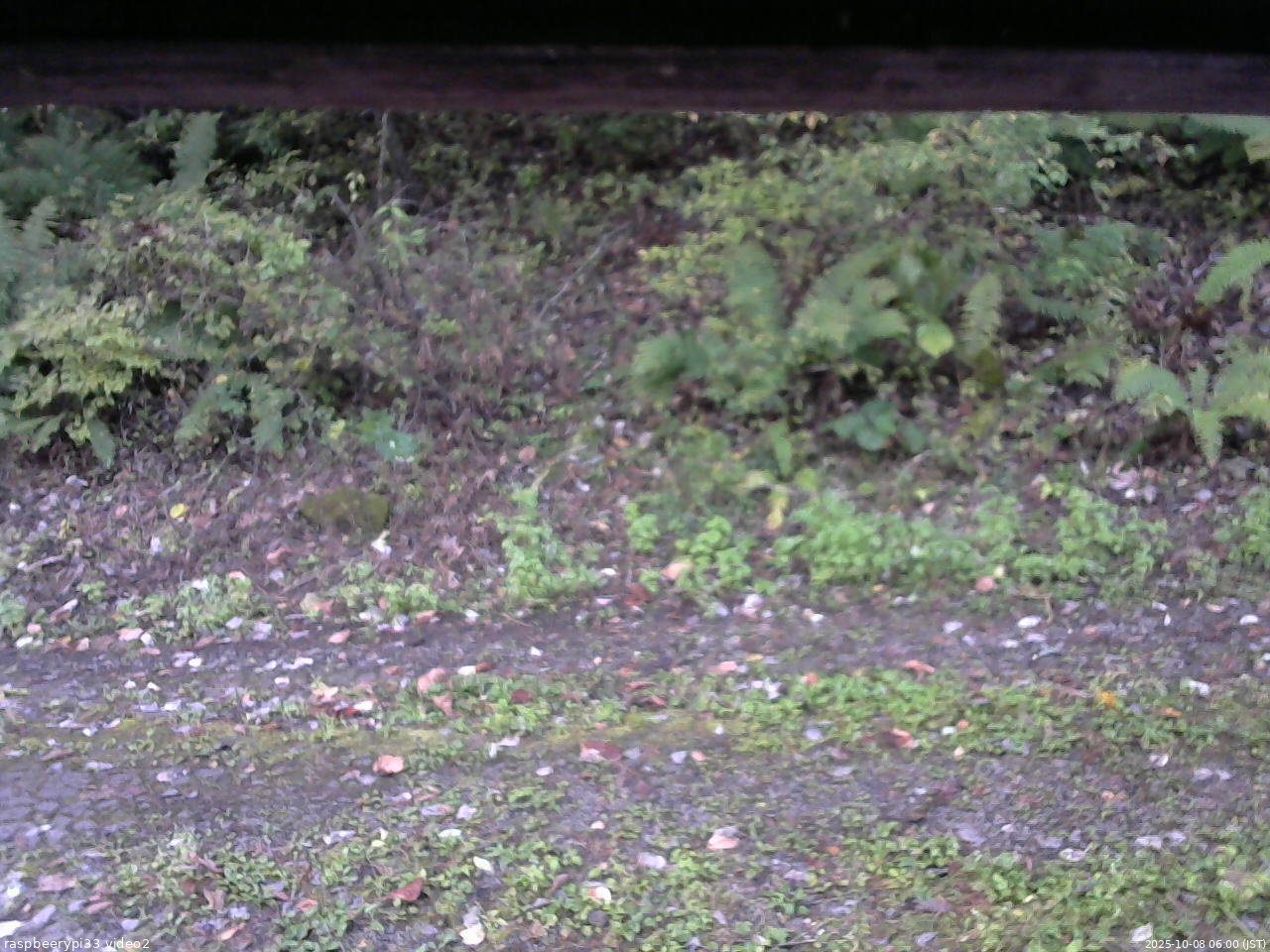 長野県菅平高原 ゆたか山荘 南側 2025/10/08 06:00