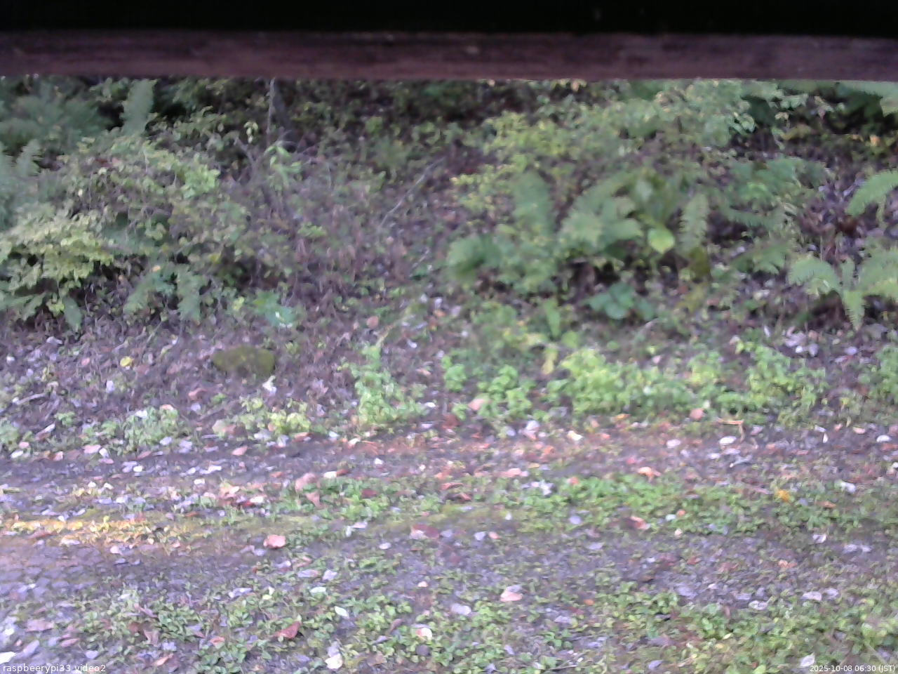 長野県菅平高原 ゆたか山荘 南側 2025/10/08 06:30