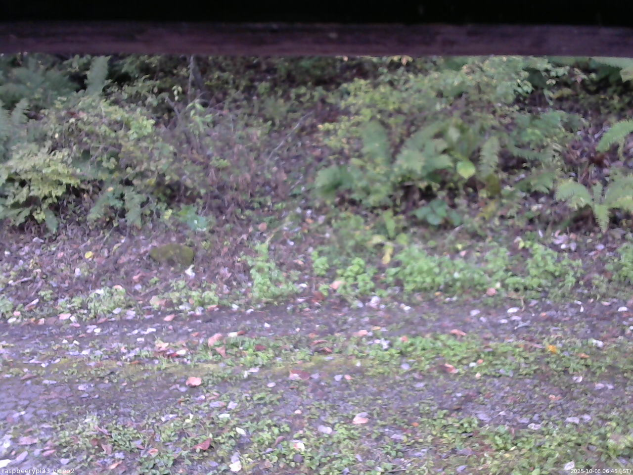 長野県菅平高原 ゆたか山荘 南側 2025/10/08 06:45