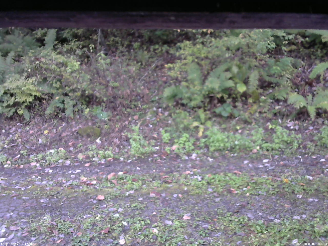 長野県菅平高原 ゆたか山荘 南側 2025/10/08 07:00