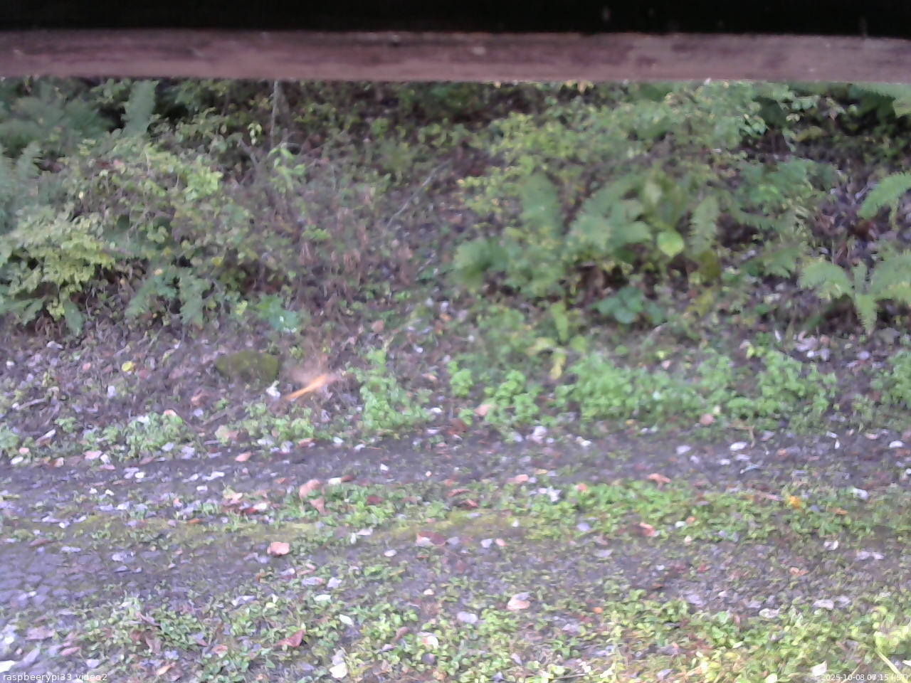 長野県菅平高原 ゆたか山荘 南側 2025/10/08 07:15