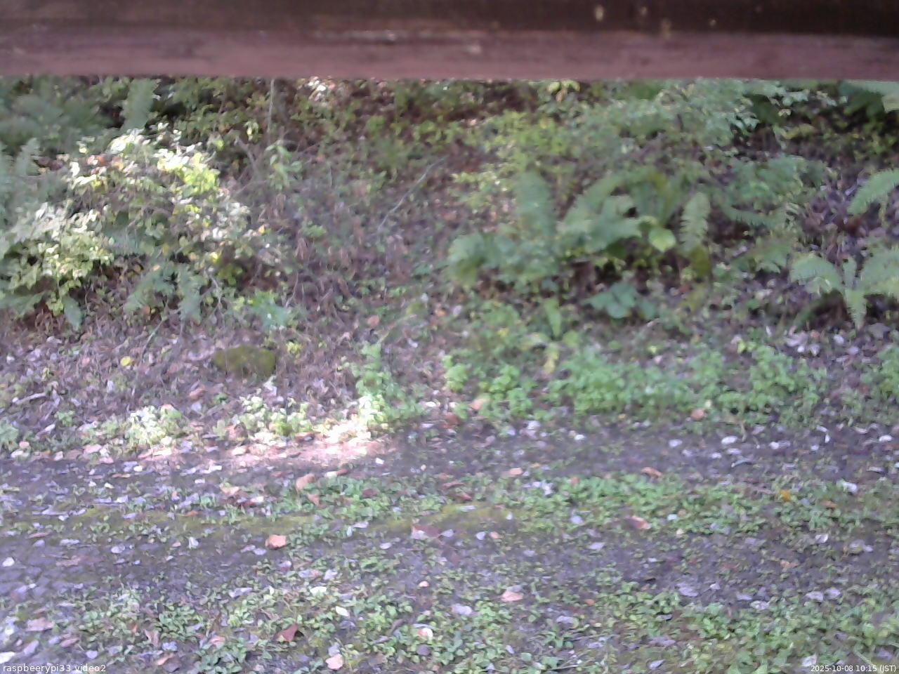 長野県菅平高原 ゆたか山荘 南側 2025/10/08 10:15