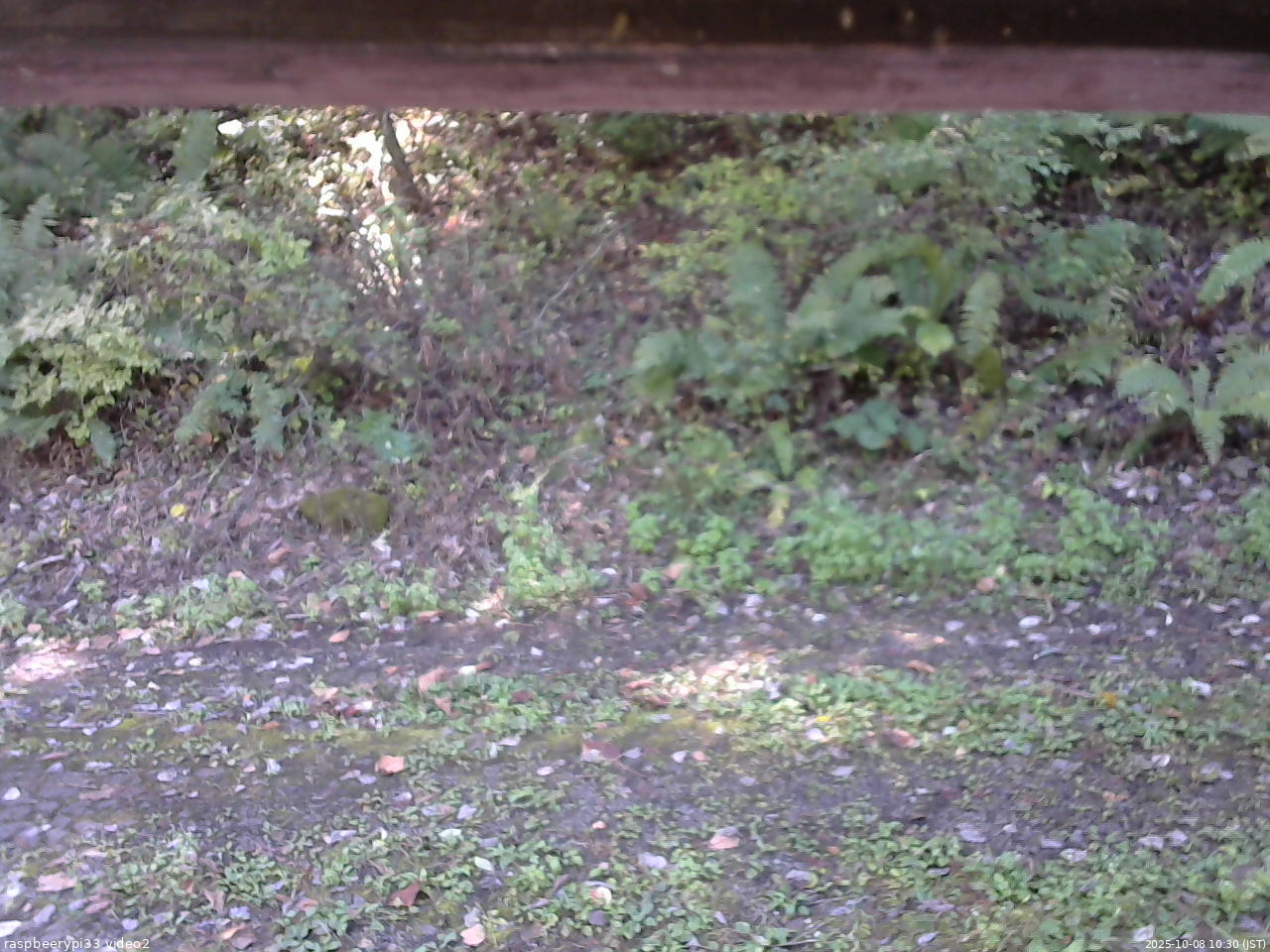 長野県菅平高原 ゆたか山荘 南側 2025/10/08 10:30