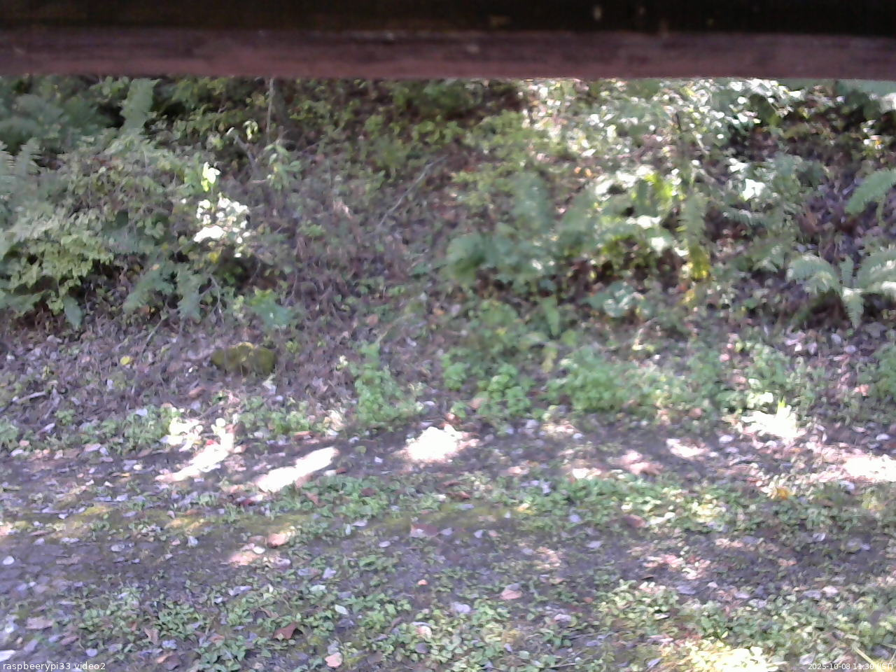 長野県菅平高原 ゆたか山荘 南側 2025/10/08 11:30