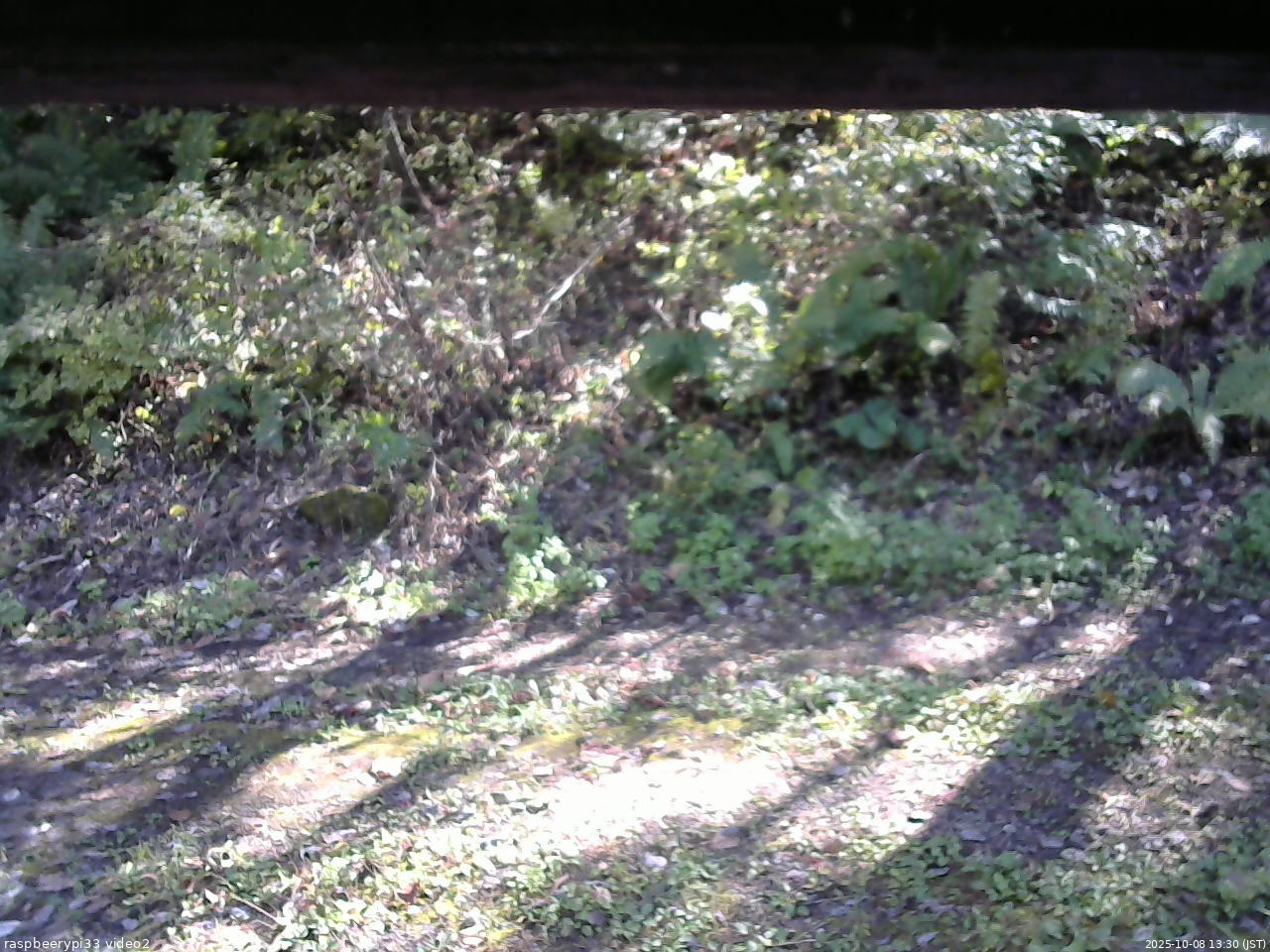 長野県菅平高原 ゆたか山荘 南側 2025/10/08 13:30
