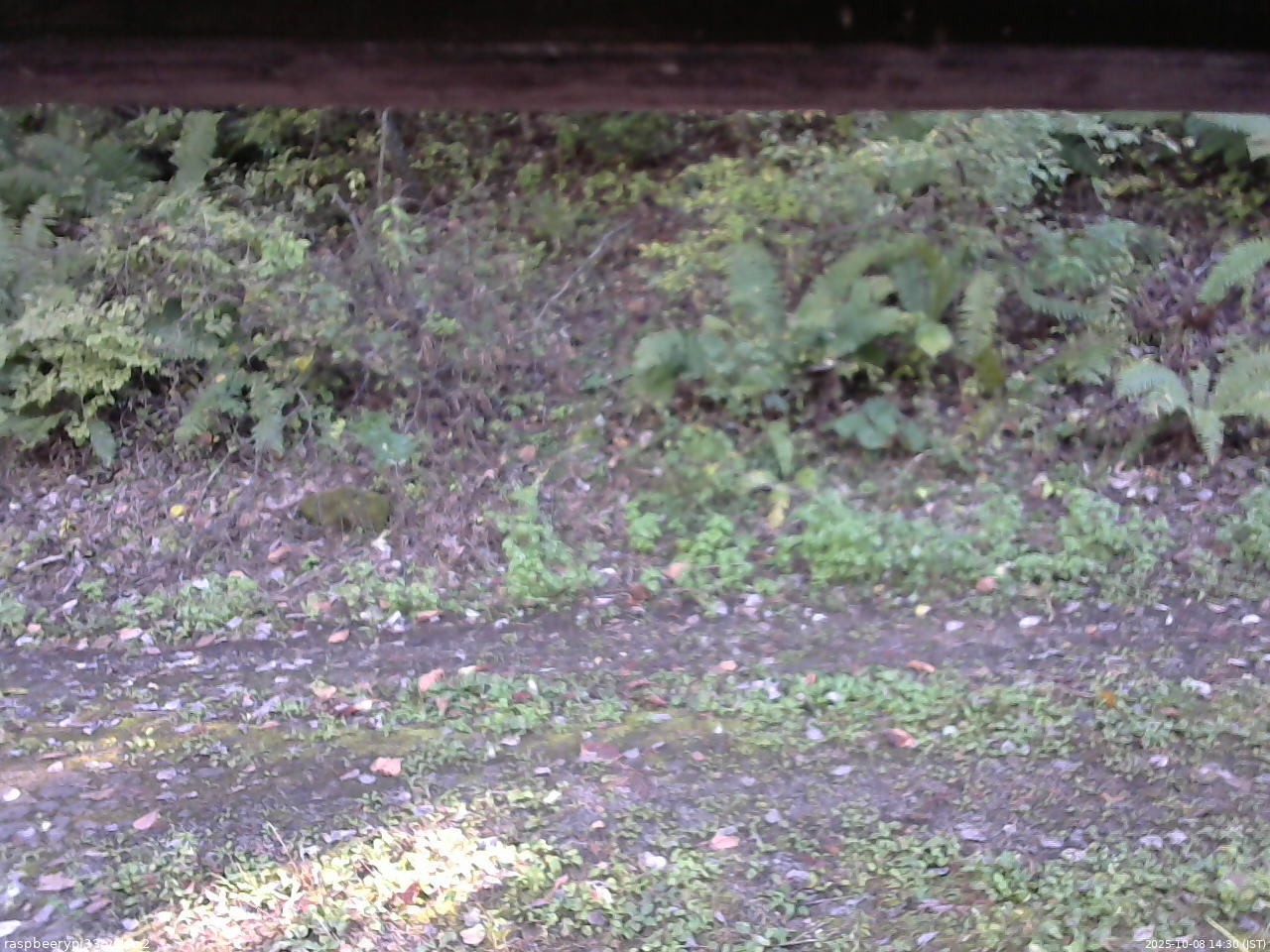 長野県菅平高原 ゆたか山荘 南側 2025/10/08 14:30
