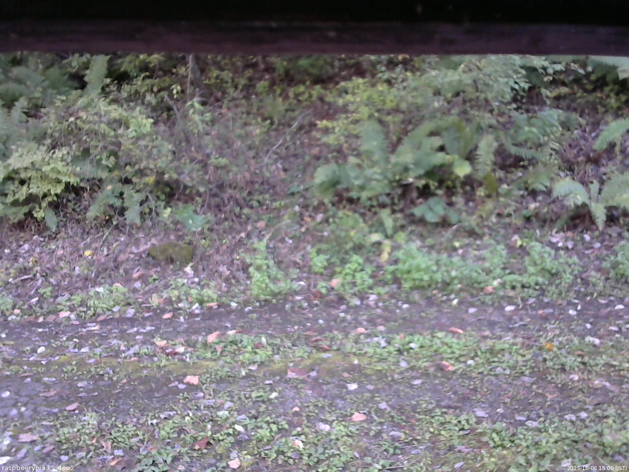 長野県菅平高原 ゆたか山荘 南側 2025/10/08 15:00