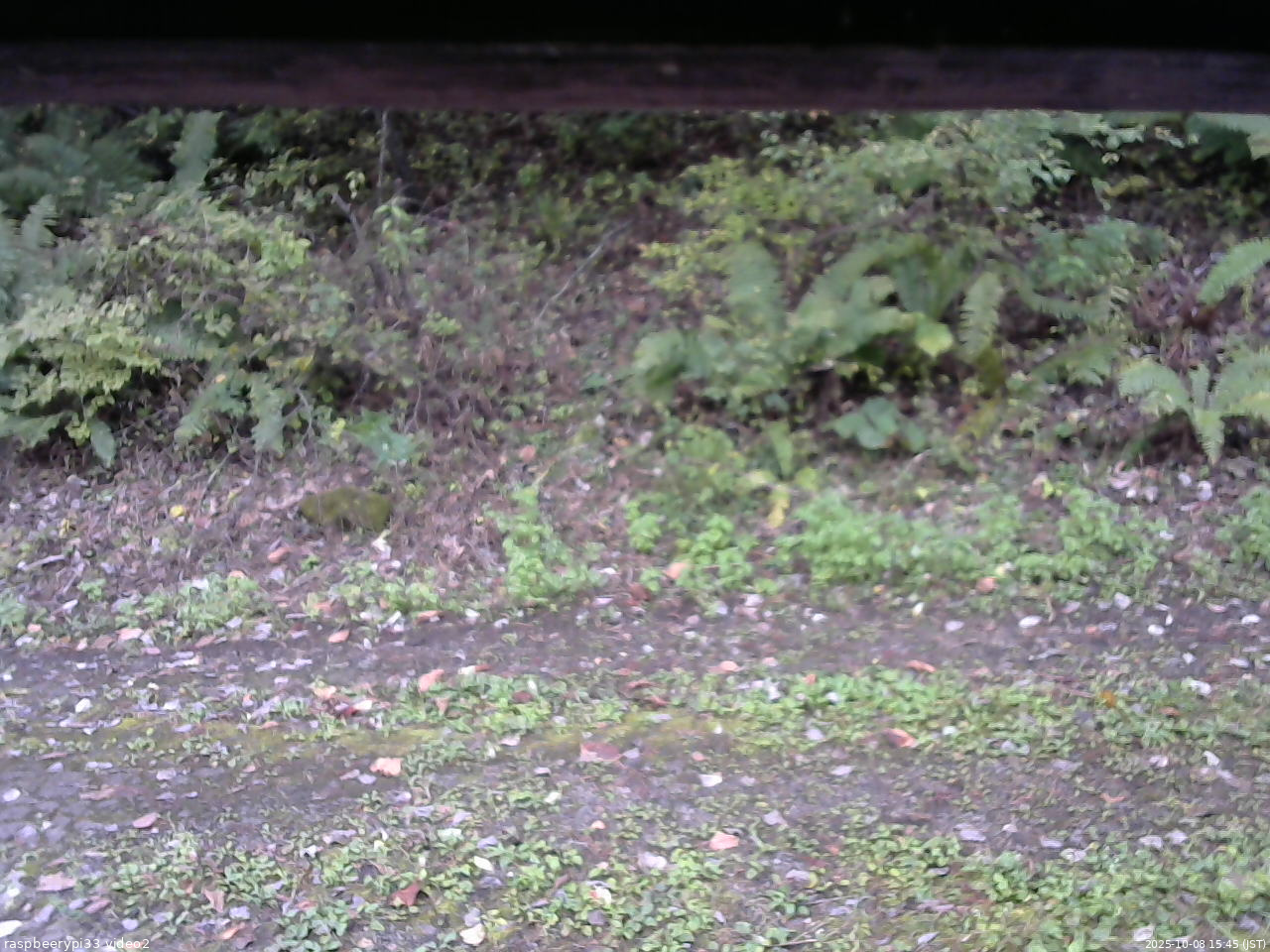 長野県菅平高原 ゆたか山荘 南側 2025/10/08 15:45