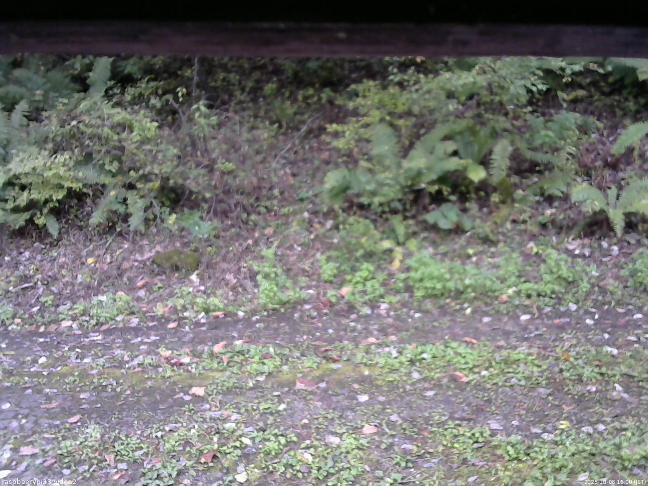 長野県菅平高原 ゆたか山荘 南側 2025/10/08 16:00
