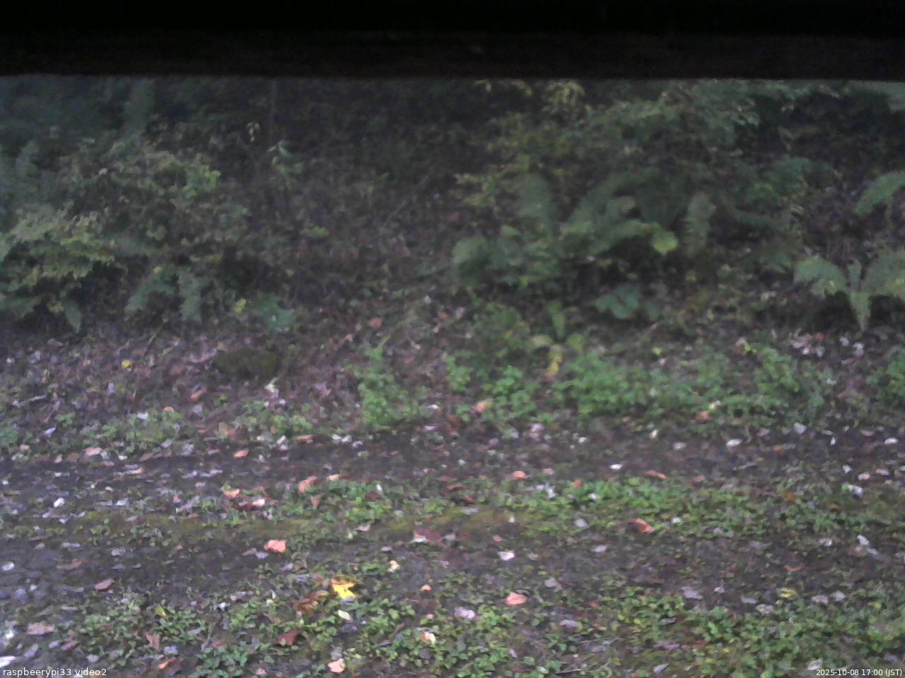 長野県菅平高原 ゆたか山荘 南側 2025/10/08 17:00
