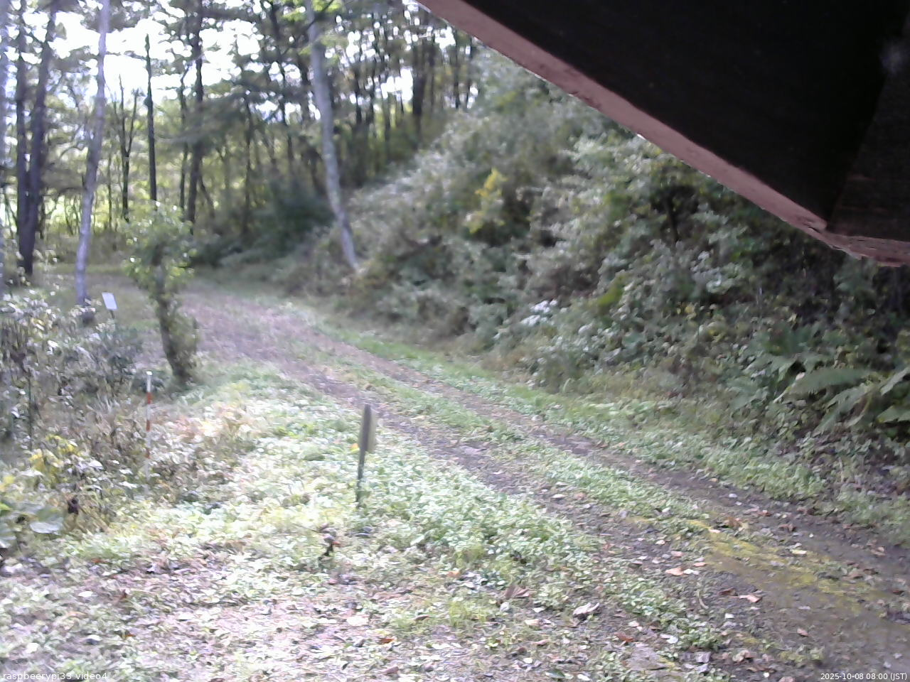 長野県菅平高原 ゆたか山荘 東側(坂下) 2025/10/08 08:00