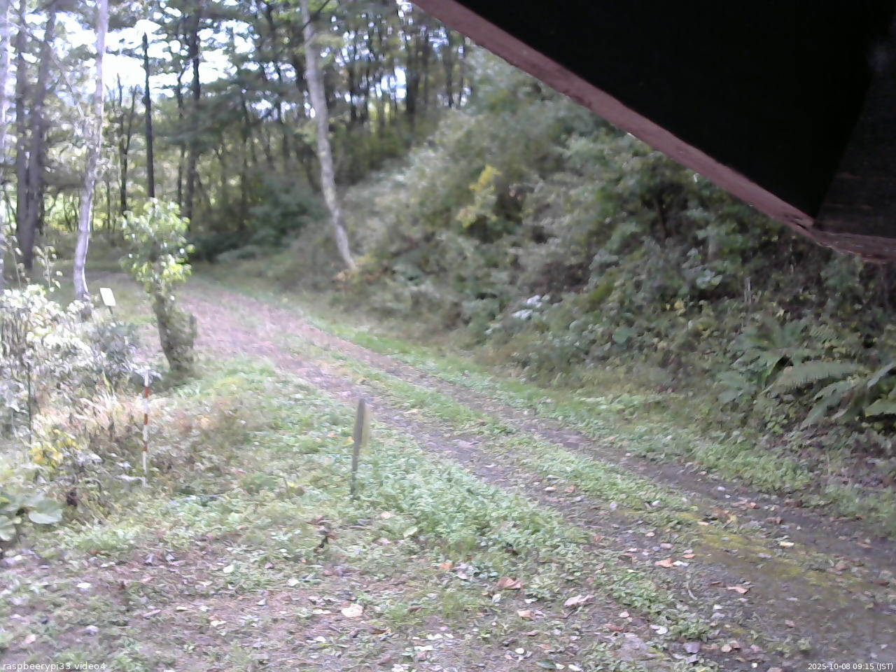 長野県菅平高原 ゆたか山荘 東側(坂下) 2025/10/08 09:15