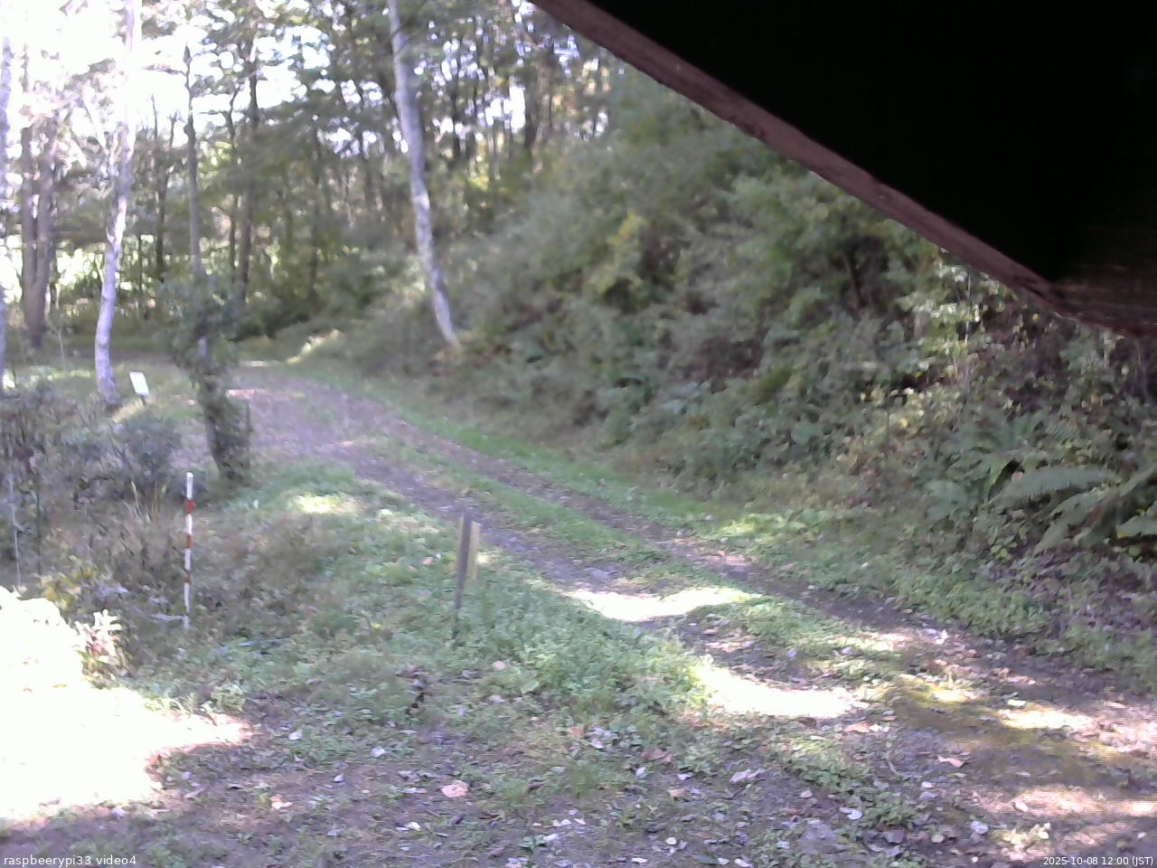長野県菅平高原 ゆたか山荘 東側(坂下) 2025/10/08 12:00
