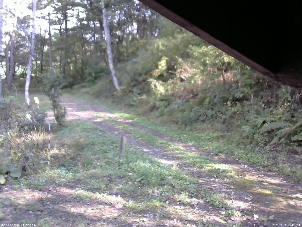 長野県菅平高原 ゆたか山荘 東側(坂下) 2025/10/08 13:45
