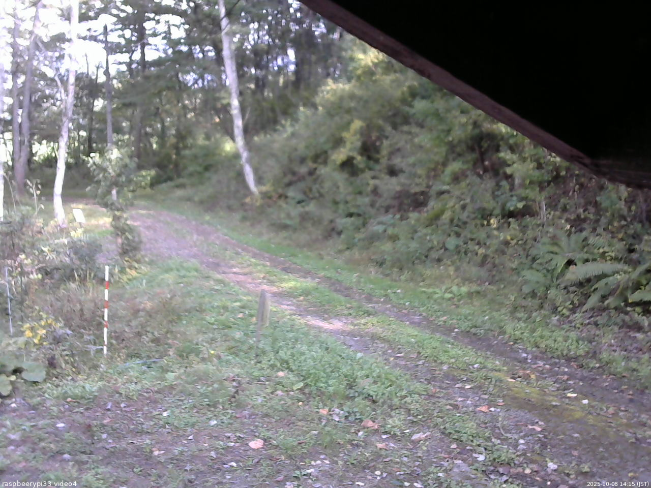 長野県菅平高原 ゆたか山荘 東側(坂下) 2025/10/08 14:15