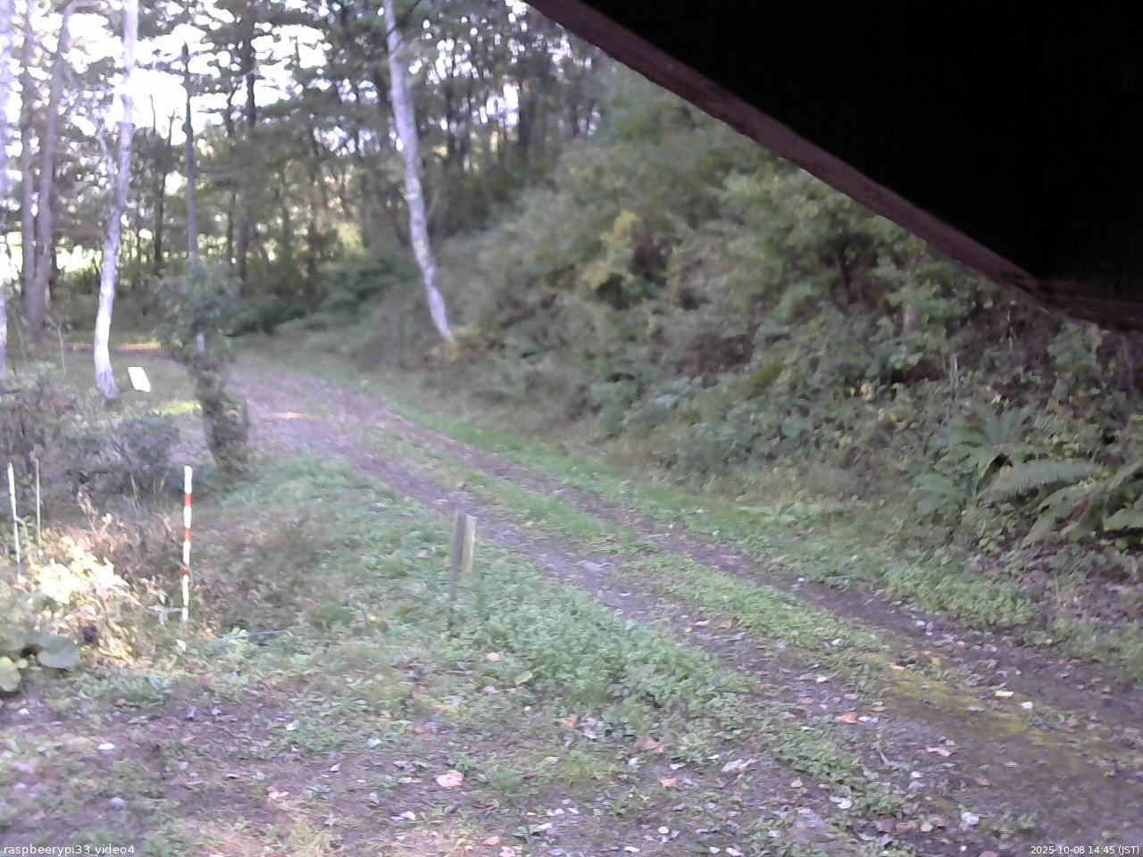 長野県菅平高原 ゆたか山荘 東側(坂下) 2025/10/08 14:45